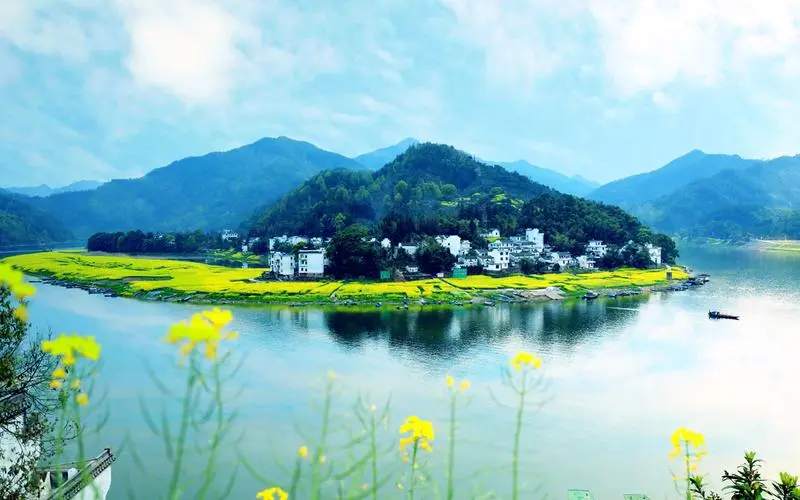 智能智慧智能